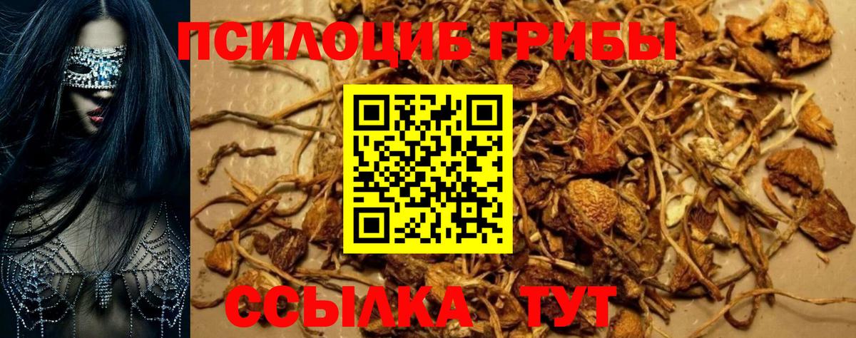 Нижнекамск  Псилоцибиновые грибы прущие грибы  Вход с VPN 
